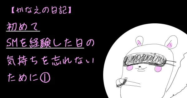 初めてのSM