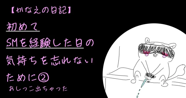 初めてのSM日記